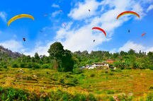 Paragliders flying over the rice fields in Pokhara Paragliders flying over the rice fields in Pokhara